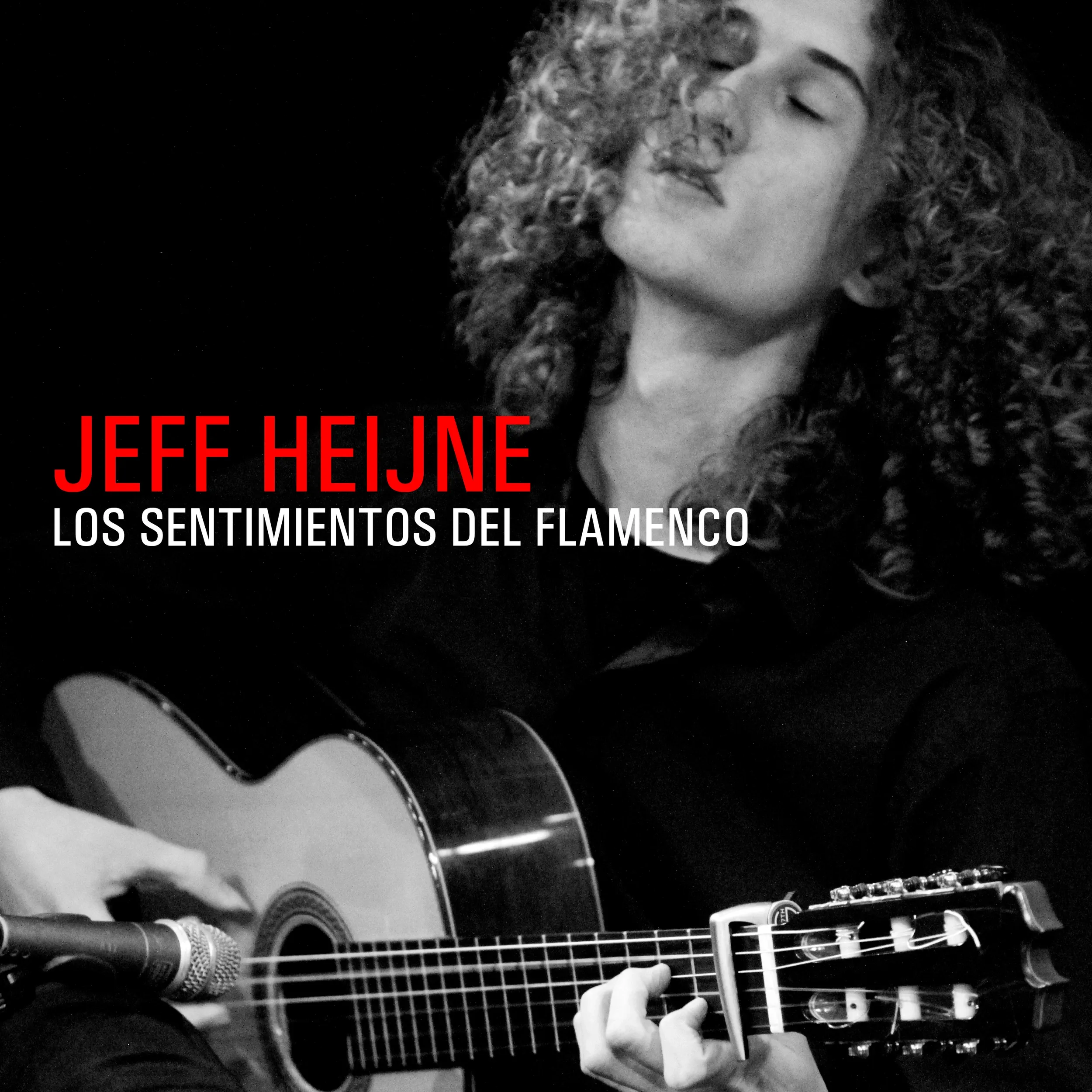 Los Sentimientos del Flamenco